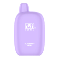 fum pebble blueberry mint